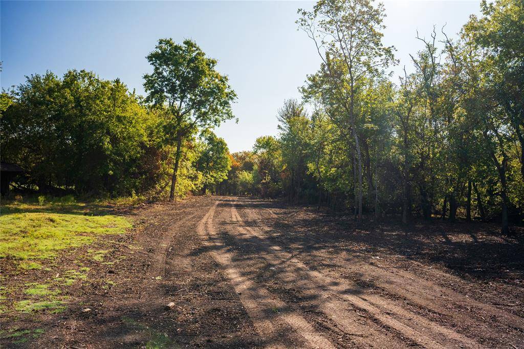 Ladonia, TX 75449,TBD county road 3660 County Road 3660