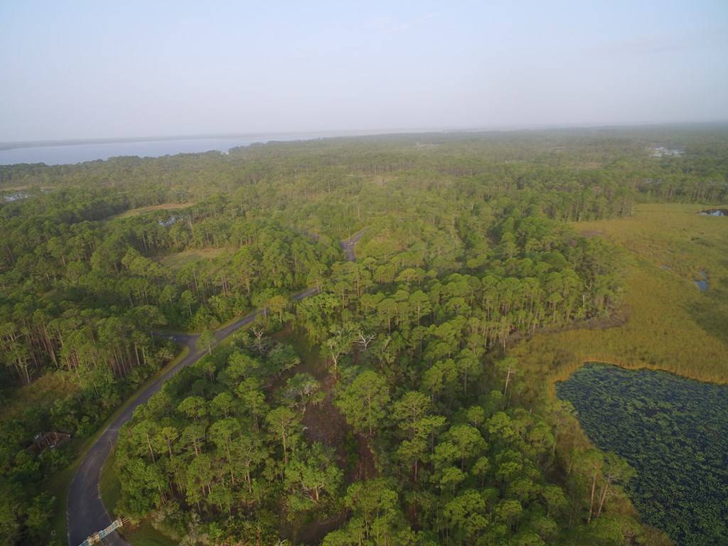 Panacea, FL 32346,Lot 30 Wilderness Way