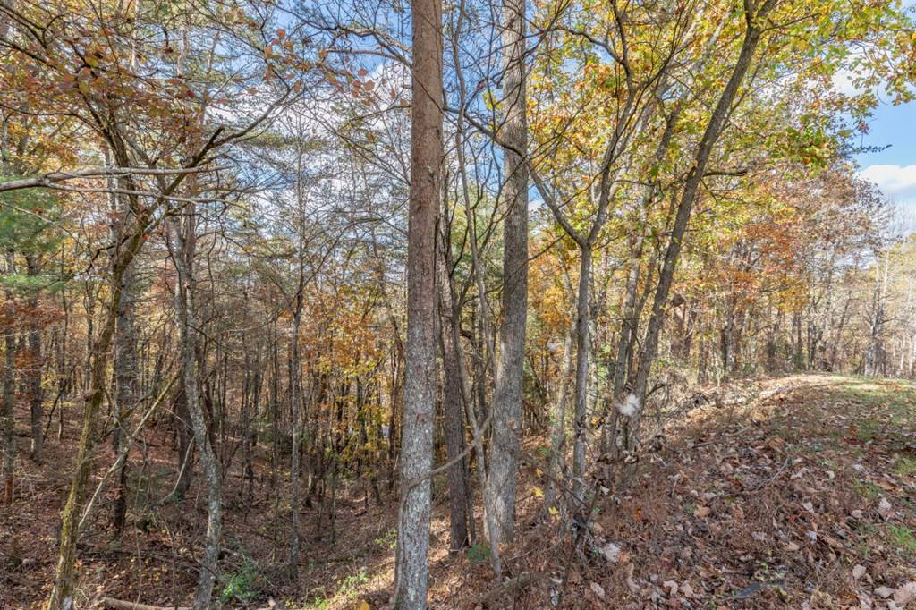 Mineral Bluff, GA 30559,Lot 1 Walker M. Sluder Farm Road