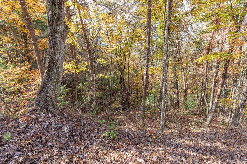 Mineral Bluff, GA 30559,Lot 1 Walker M. Sluder Farm Road