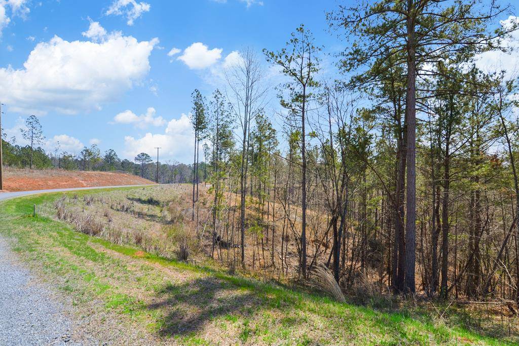 Talking Rock, GA 30175,Lot 150R Blalock Mountain Road