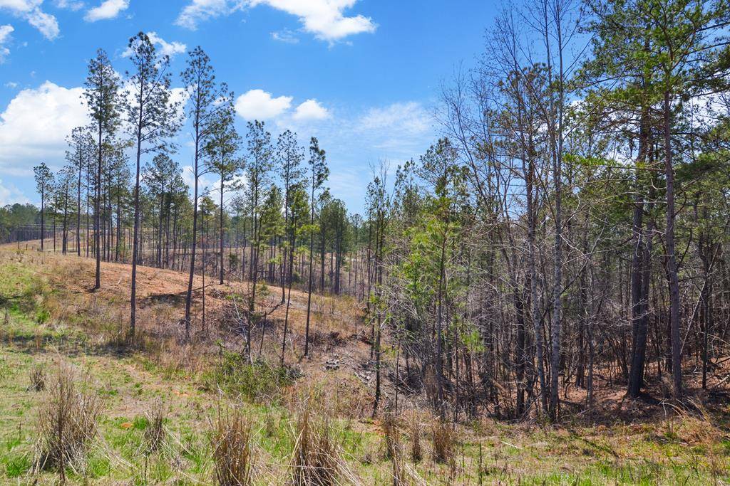 Talking Rock, GA 30175,Lot 150R Blalock Mountain Road