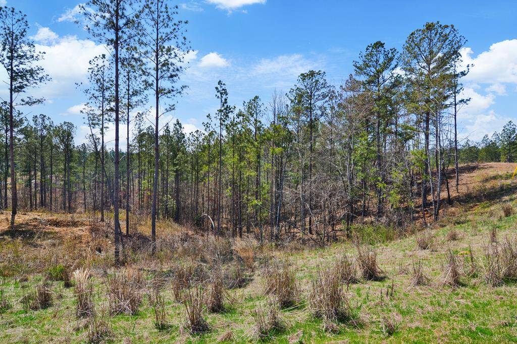 Talking Rock, GA 30175,Lot 150R Blalock Mountain Road