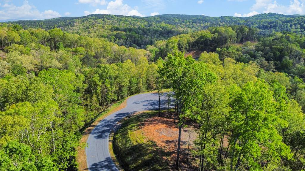 Talking Rock, GA 30175,Lot 274 Canoe Way