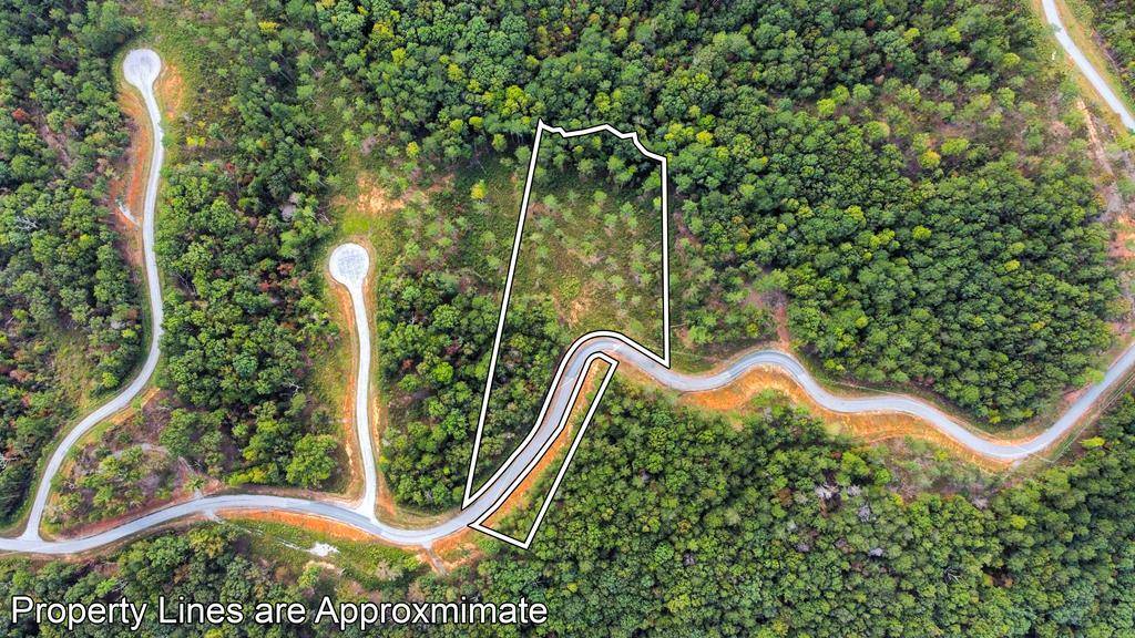 Talking Rock, GA 30175,Lot 92 Blalock Mountain Road