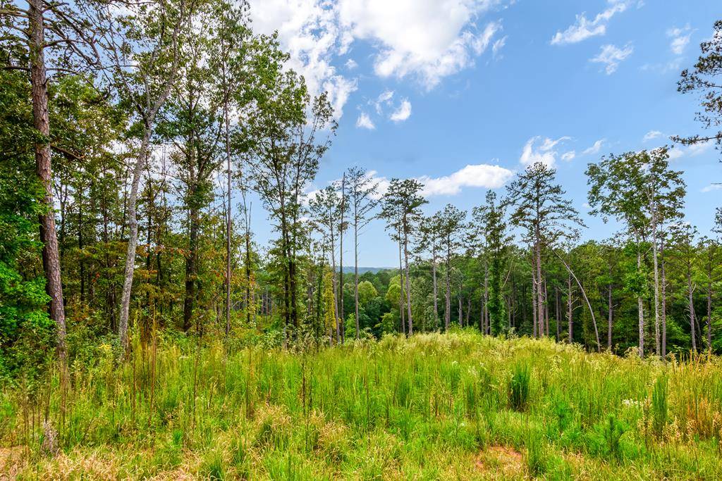 Talking Rock, GA 30175,Lot 92 Blalock Mountain Road