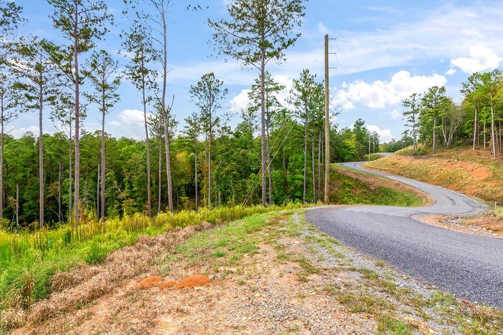 Talking Rock, GA 30175,Lot 92 Blalock Mountain Road