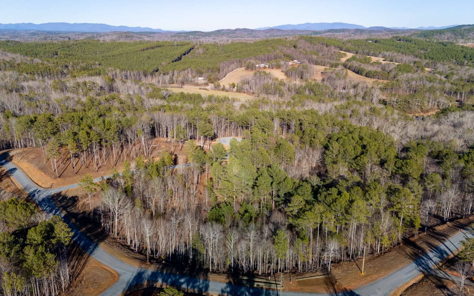 Talking Rock, GA 30175,Lot 120 High Hills Court