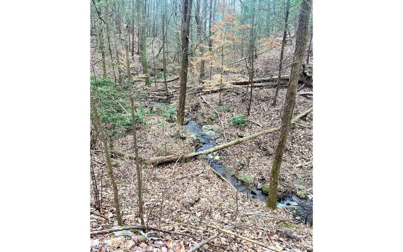 Ellijay, GA 30705,LOT 7 Brushy Top Drive