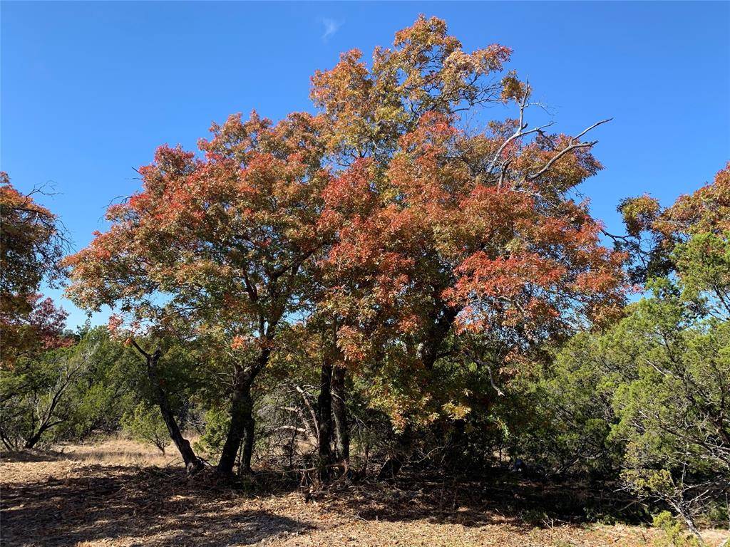 Tuscola, TX 79562,21.576 Acres FM 89