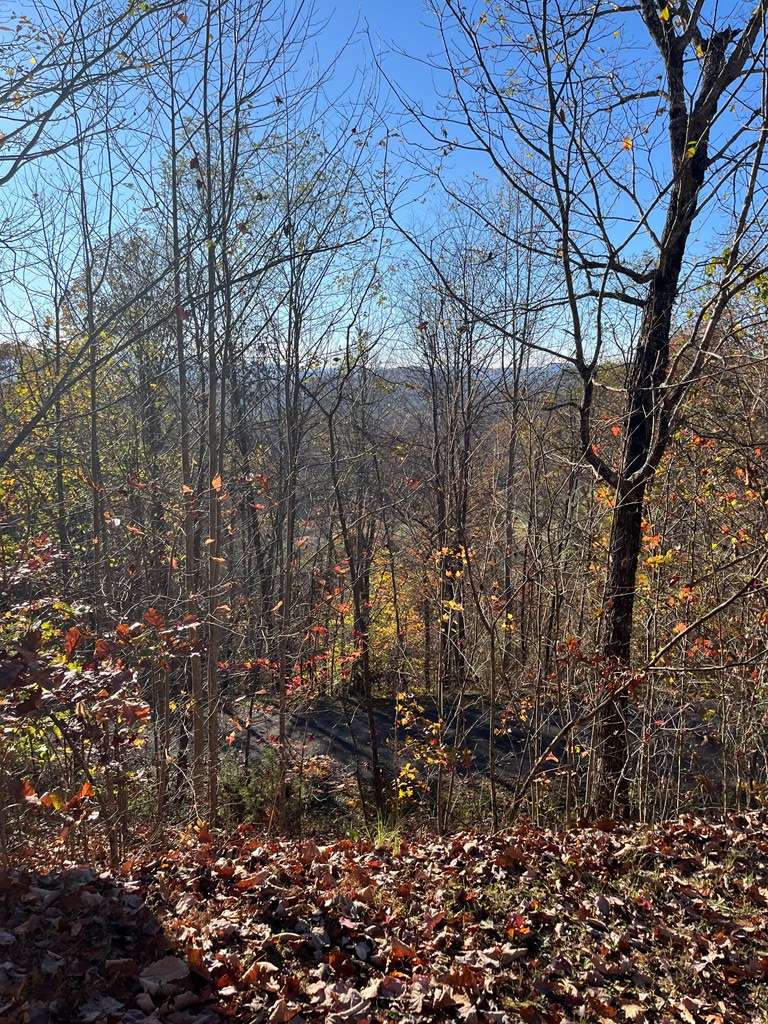 Hayesville, NC 28904,TBD Ridges Overlook