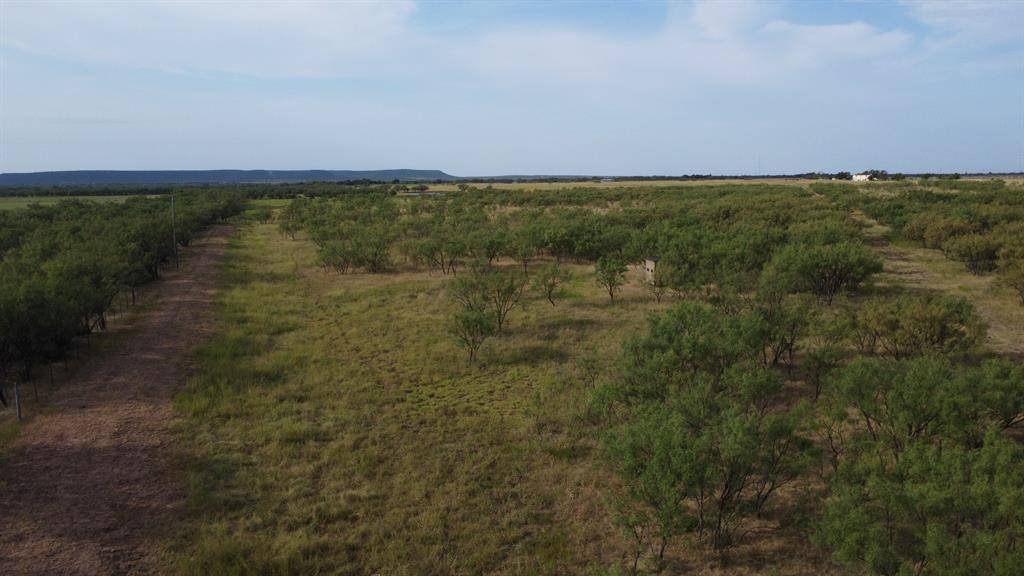 Ovalo, TX 79451,TBD County Road 184