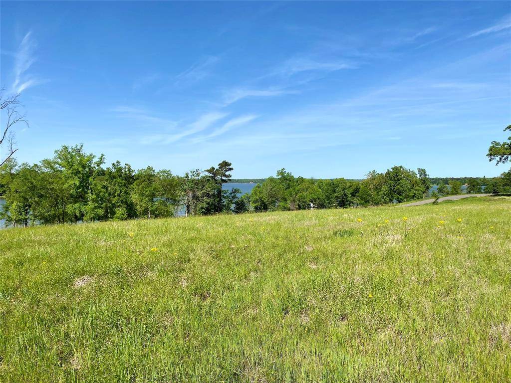 Pittsburg, TX 75686,LOT 46 TBD Waterview Lane