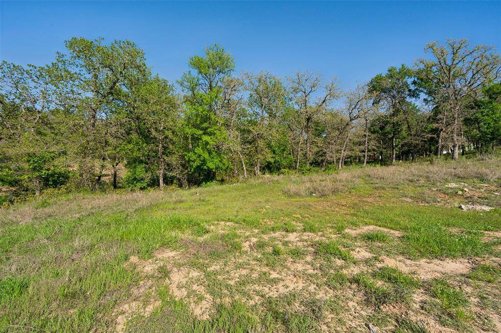 Lipan, TX 76462,TBD Sugartree Drive