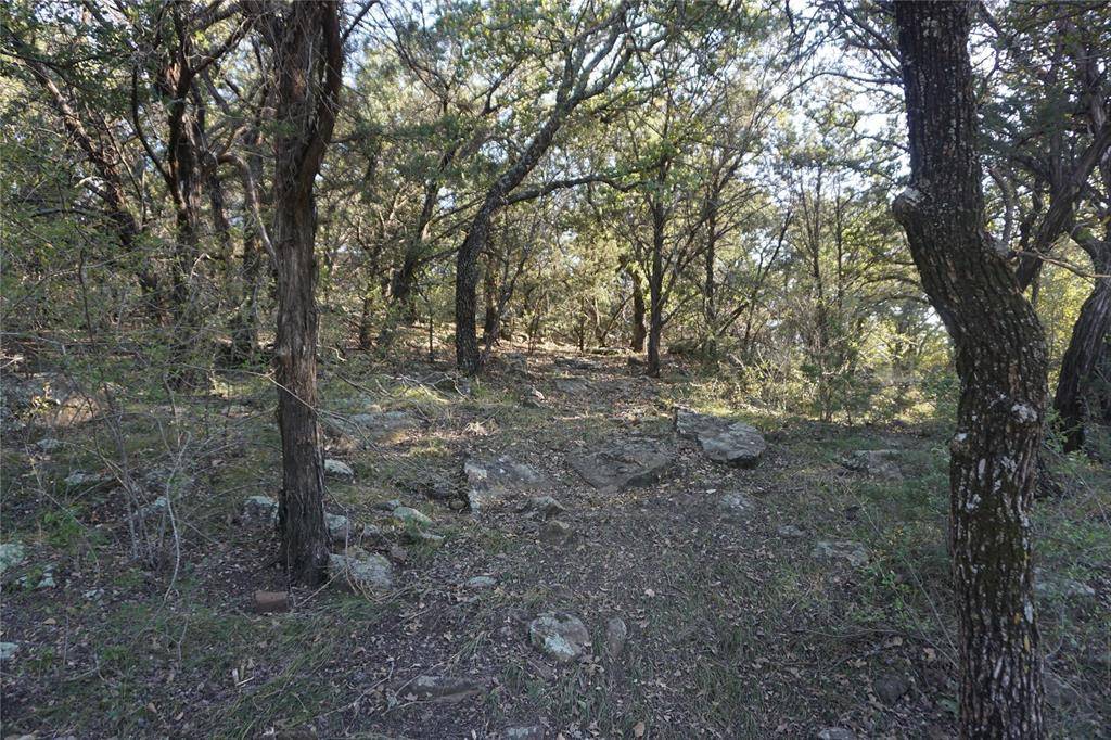 Possum Kingdom Lake, TX 76449,1101 Mountain Bluebird Court