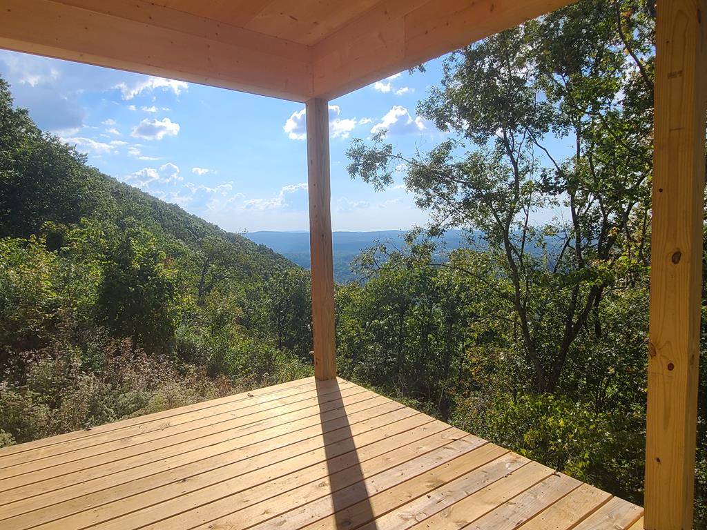 Ellijay, GA 30540,1324 Talona Mountain Road