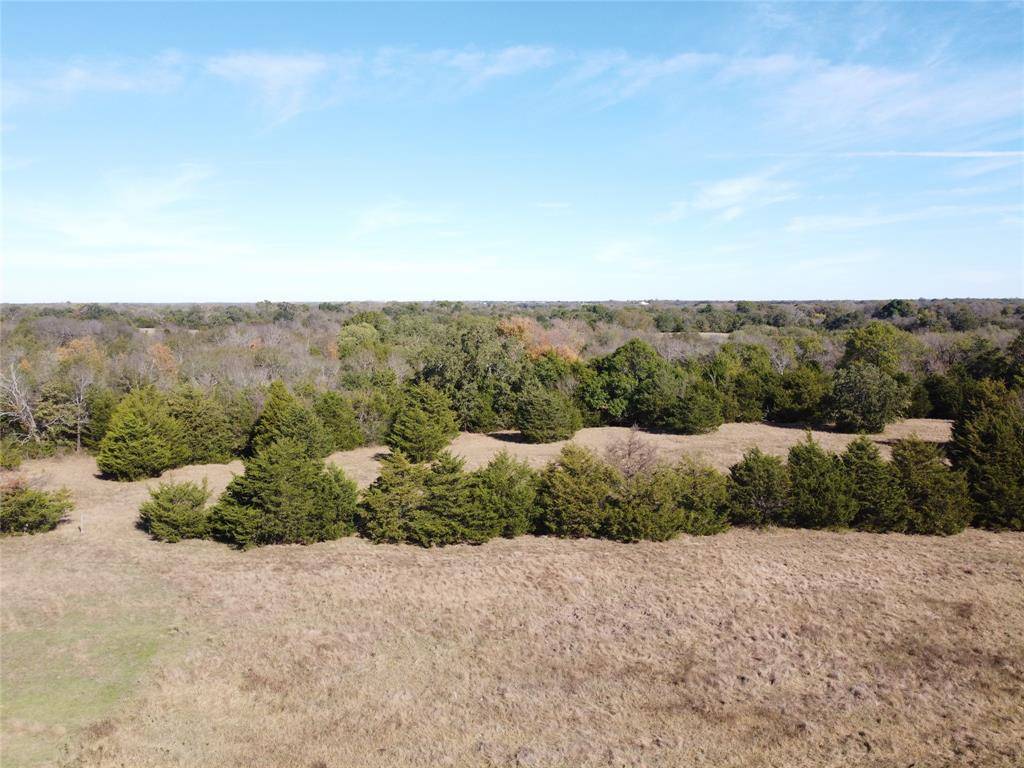 Celeste, TX 75423,46 ac Cr-1083