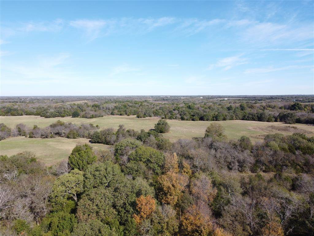 Celeste, TX 75423,46 ac Cr-1083