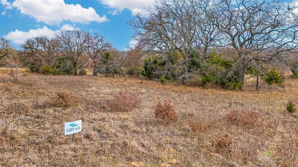 Montague, TX 76251,000 Oak Shadow Lane