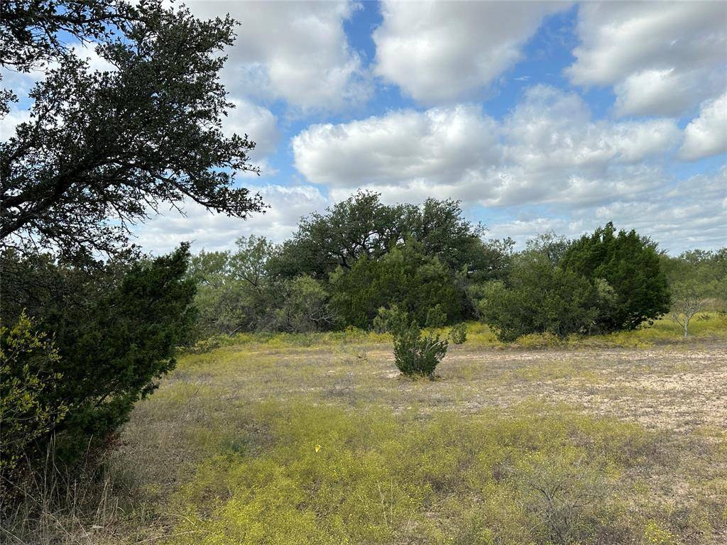 Santa Anna, TX 76878,TBD US Highway 283