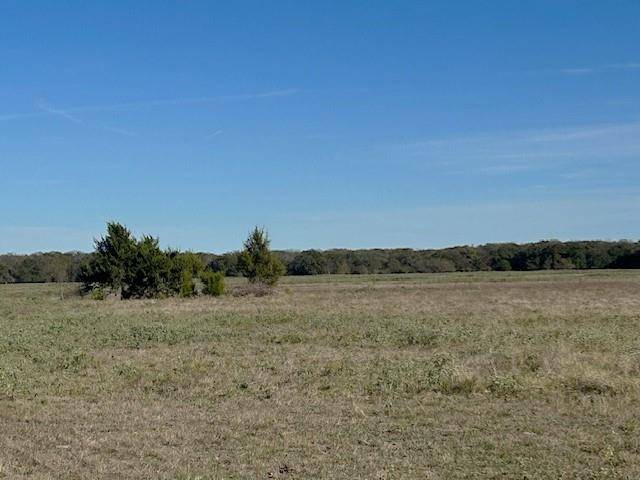 Honey Grove, TX 75446,Tbd County Road 2805