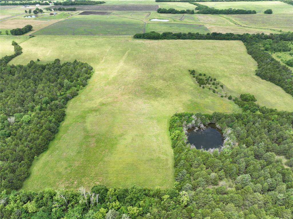 Honey Grove, TX 75446,24900 Tract 3 County Line Road