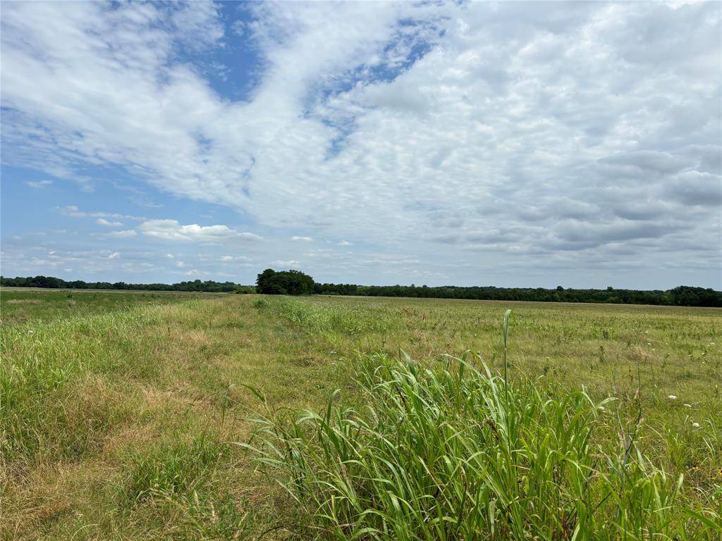 Honey Grove, TX 75446,24900 Tract 3 County Line Road