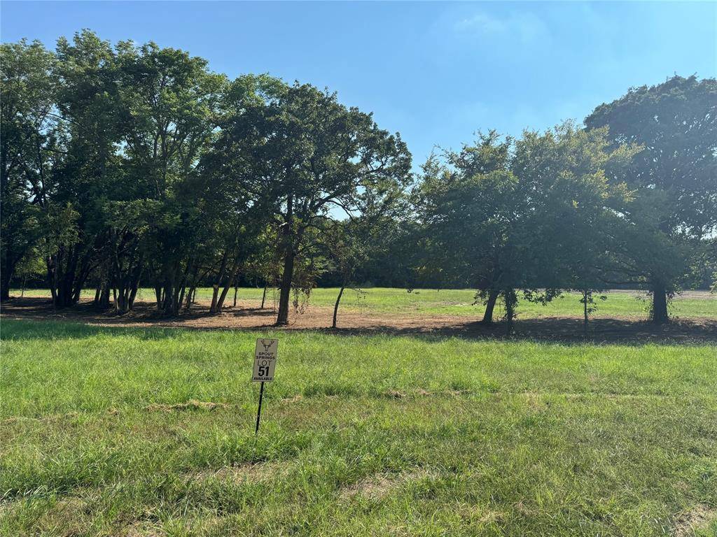 Pottsboro, TX 75076,Lot 55 Spout Springs Road