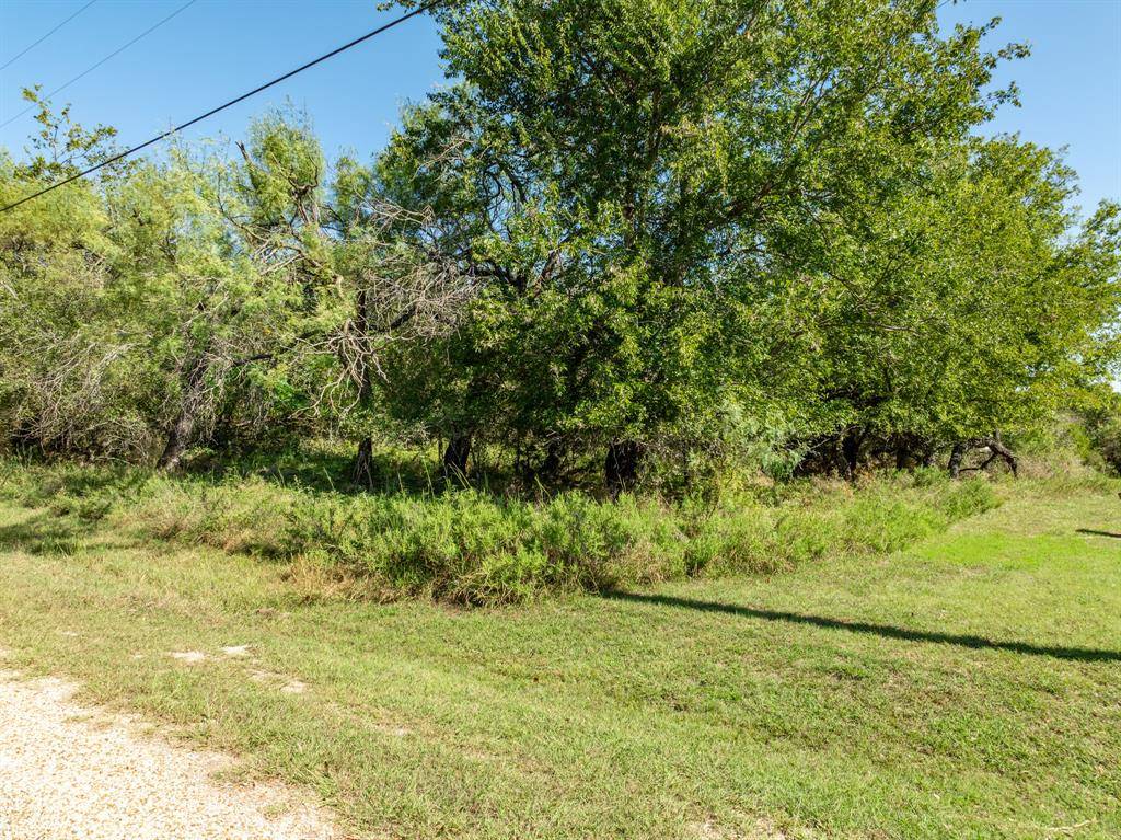 Whitney, TX 76692,1402 Spanish Oak Trail