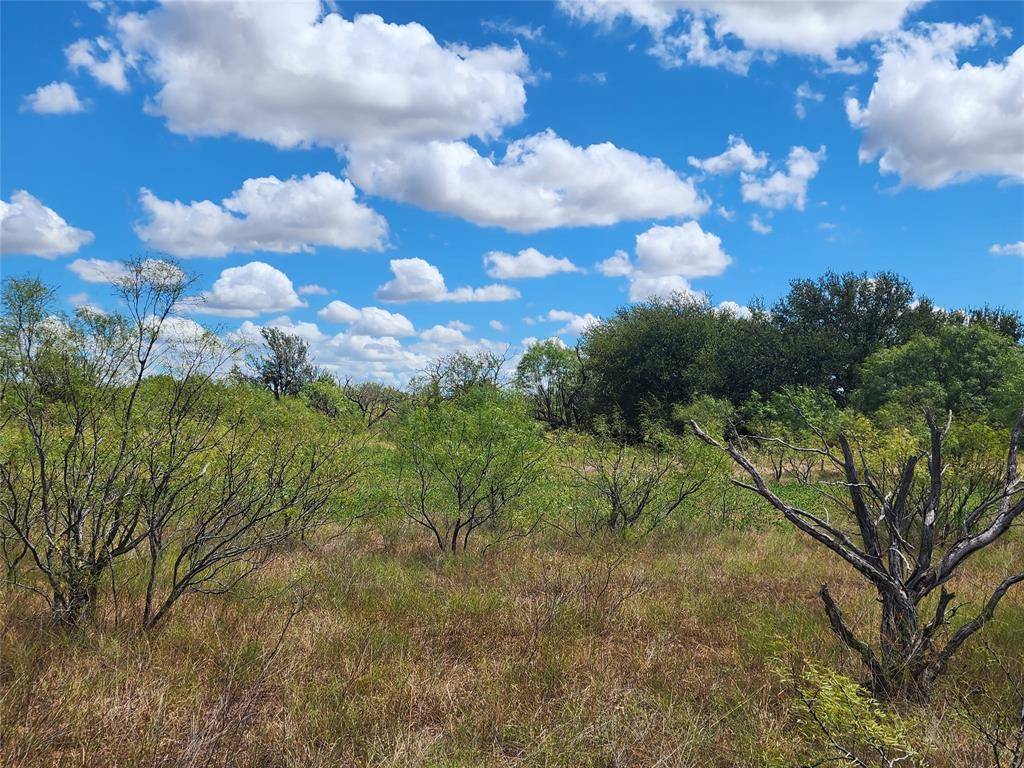 Cross Plains, TX 76443,TBD Tx-279