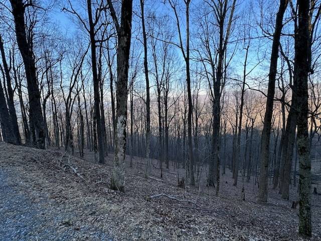 Ellijay, GA 30540,0 Walnut Ridge