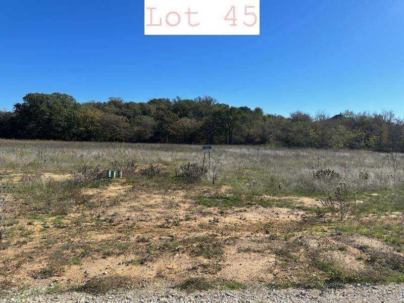 Santo, TX 76067,Lot 45 Sportsman Drive