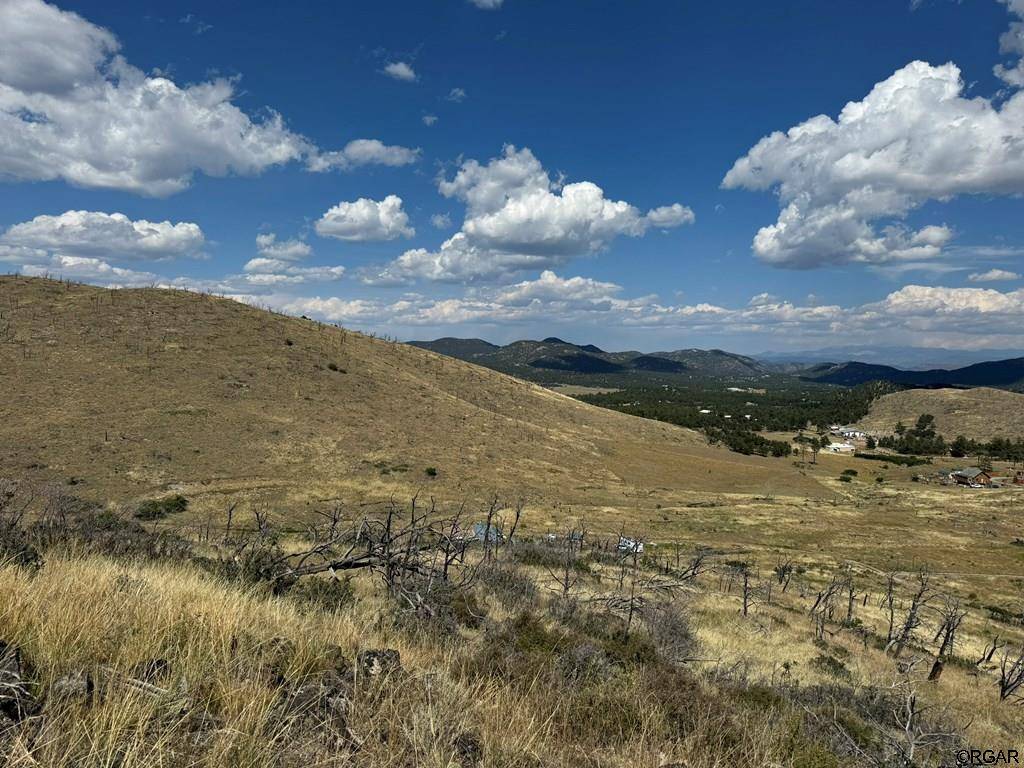 Cotopaxi, CO 81223,0 25th Trail