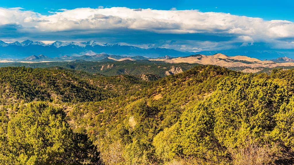 Cotopaxi, CO 81223,40 Acres McClure Gulch Road