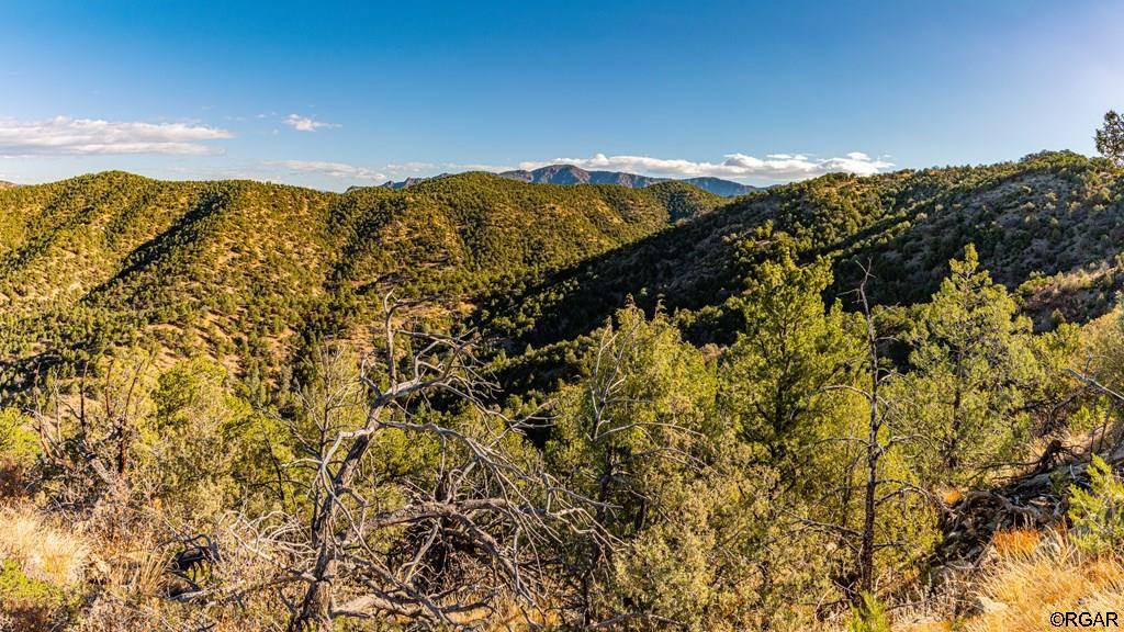 Cotopaxi, CO 81223,40 Acres McClure Gulch Road