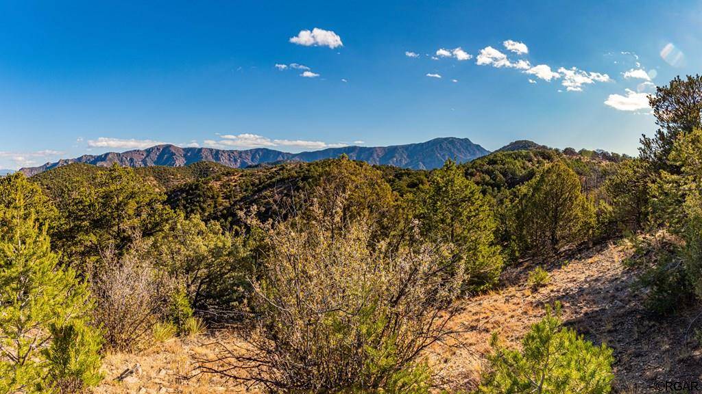 Cotopaxi, CO 81223,40 Acres McClure Gulch Road