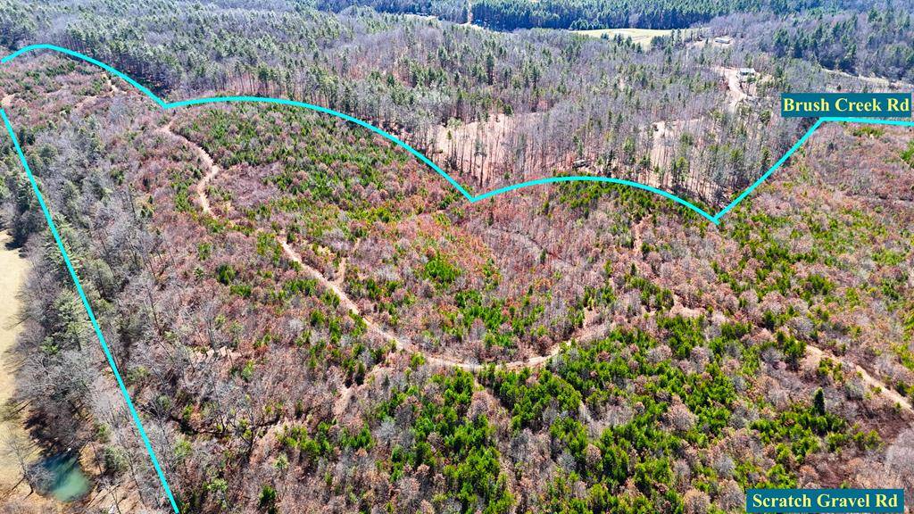 Ivanhoe, VA 24350,96 ac Brush Creek Road