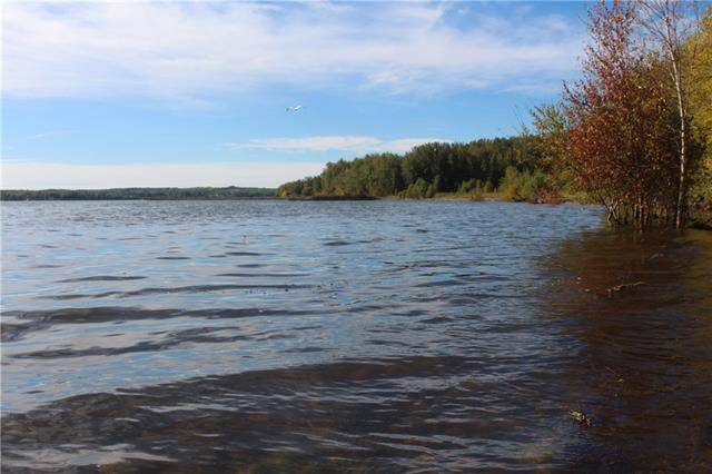 Plamondon, AB T0A 2T0,Lot 18 Campsite Road