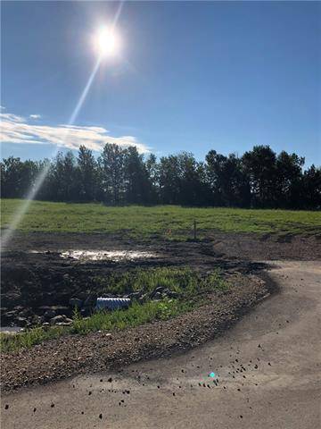 Plamondon, AB T0A 2T0,Lot 19 Campsite Road