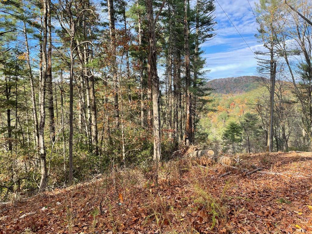 Blue Ridge, GA 30513,1.9 Acre Bell Camp Ridge Road