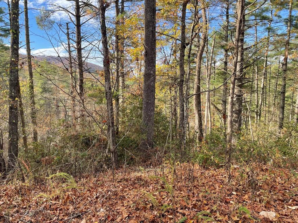 Blue Ridge, GA 30513,1.9 Acre Bell Camp Ridge Road