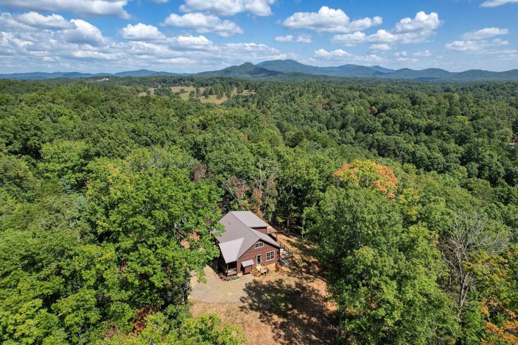 Mineral Bluff, GA 30559,250 Wolf Creek Mountain Road