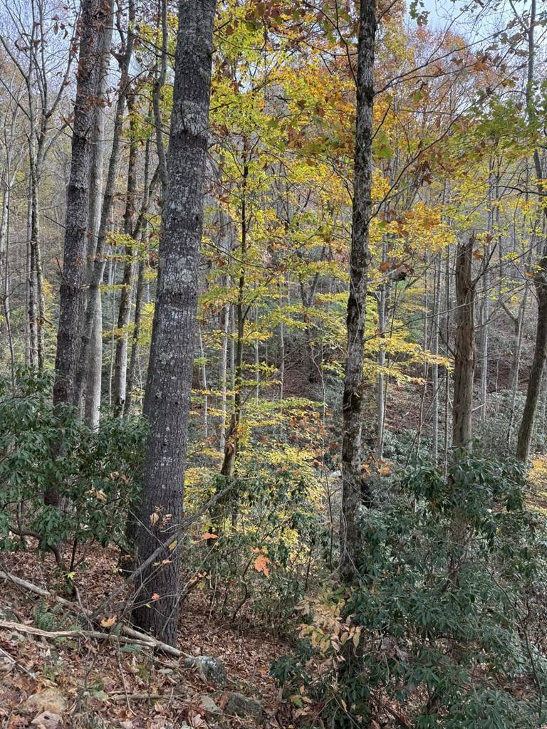 Brasstown, NC 28902,00 Heritage Trail