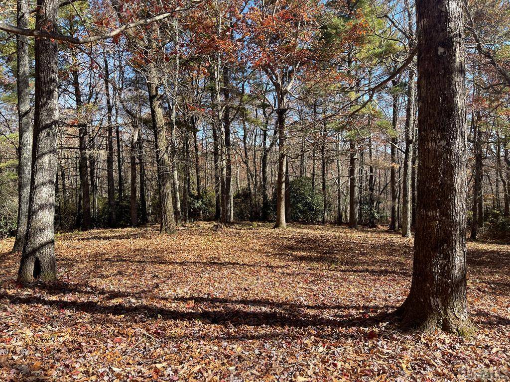 Glenville, NC 28736,Lot 13 Yarrow Lane