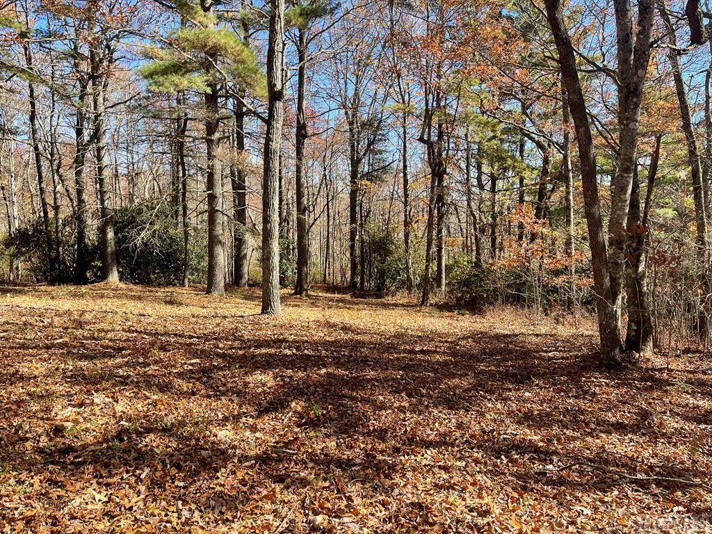 Glenville, NC 28736,Lot 13 Yarrow Lane