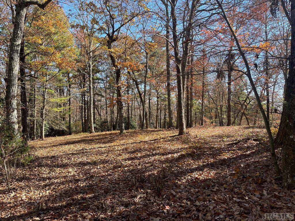 Glenville, NC 28736,Lot 13 Yarrow Lane