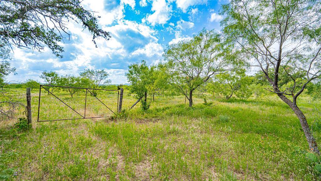 Mullin, TX 76864,590 N FM 1029