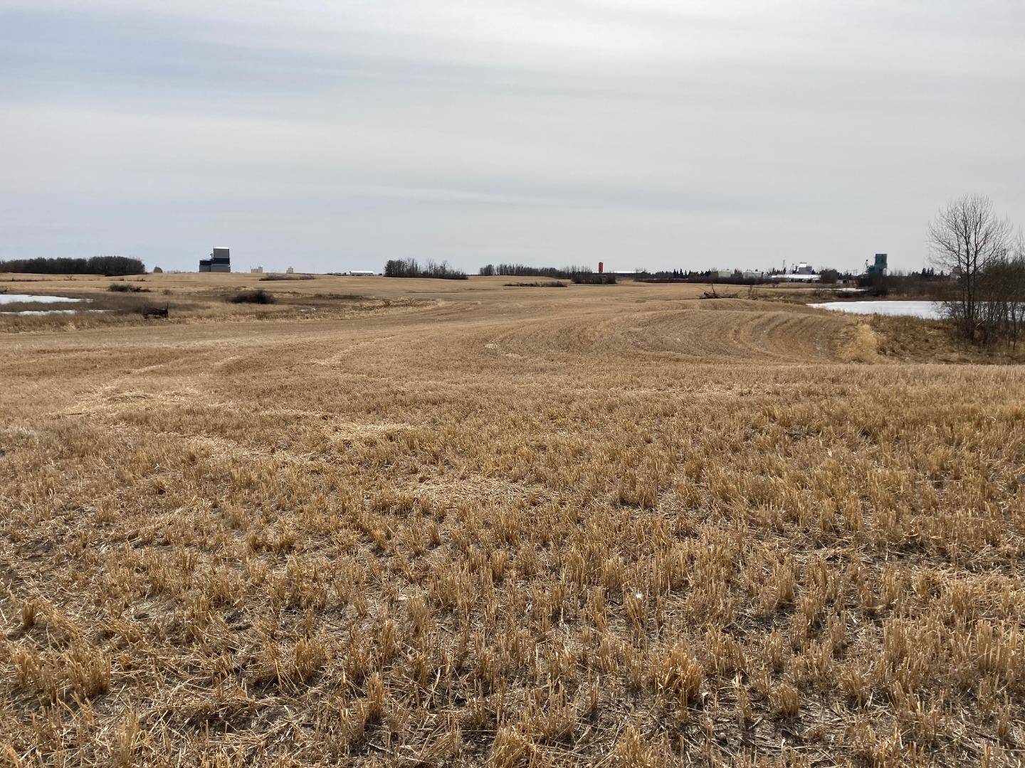 Bashaw, AB T0B 0H0,ON Highway 21A