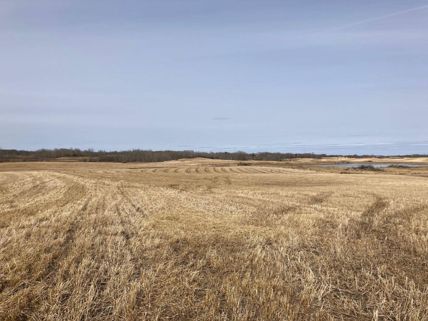 Bashaw, AB T0B 0H0,ON Highway 21A