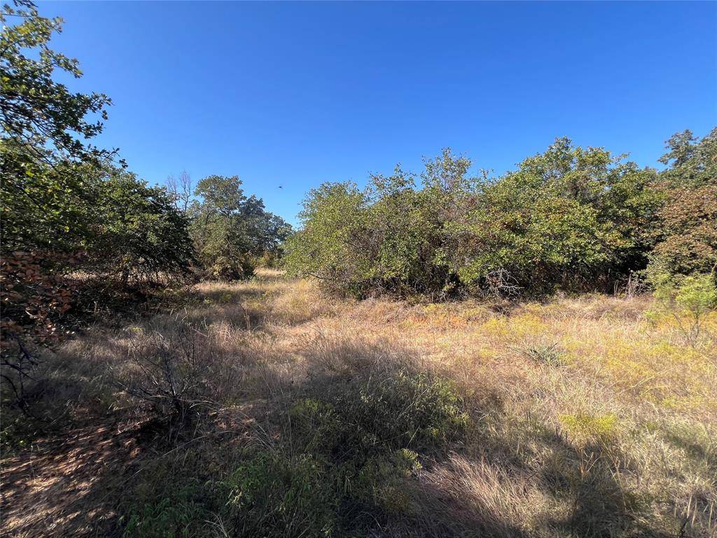 Springtown, TX 76082,TBD Wild Hill Oak Drive